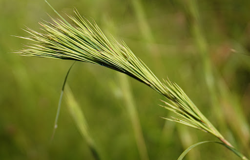Nature Preserve «Black Run Preserve», reviews and photos, Kettle Run Rd, Evesham Township, NJ 08053, USA