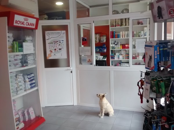 ESPECIES VETERINARIOS