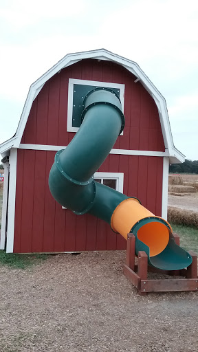 Orchard «Tuttle Orchards», reviews and photos, 5717 N 300 W, Greenfield, IN 46140, USA