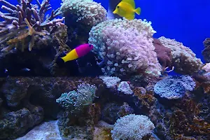 Shui Wang Aquarium Center image