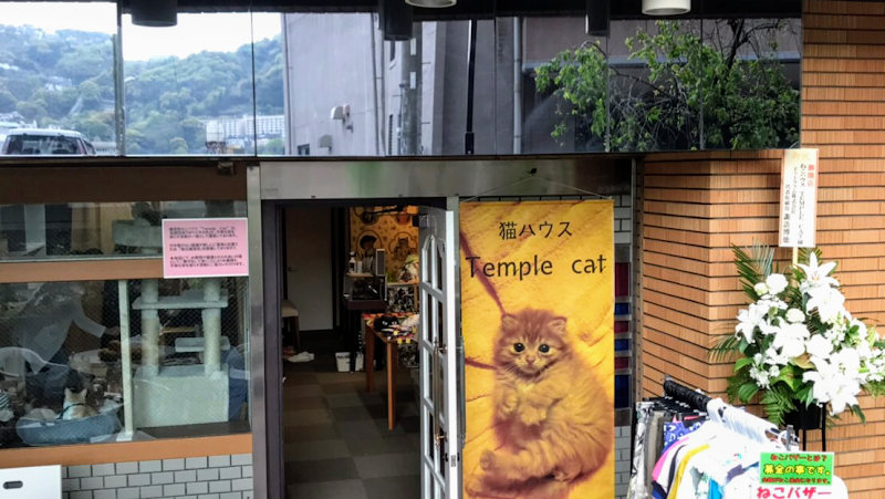 ねこハウス Temple Cat