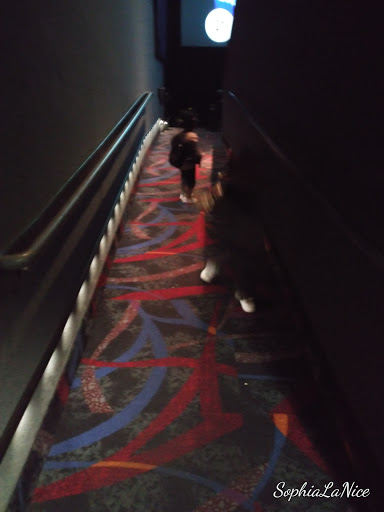 Movie Theater «United Artists Galaxy Theatre 10», reviews and photos, 11801 McCree Rd, Dallas, TX 75238, USA