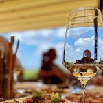 Photo n°1 de l'avis de Angioletta.o fait le 03/07/2023 à 11:16 sur le  Osteria taStè à Barbaresco