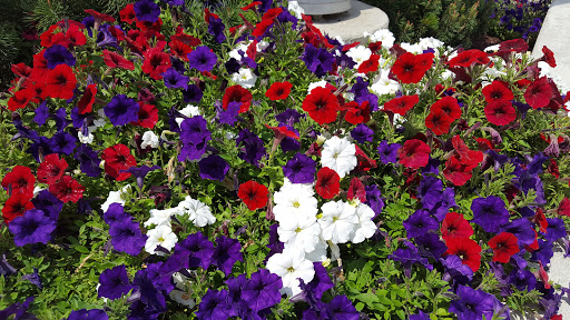 Museum «Pro Football Hall of Fame», reviews and photos, 2121 George Halas Dr NW, Canton, OH 44708, USA