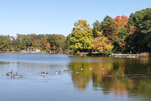 Herrick Lake Forest Preserve, Wheaton, IL 60189