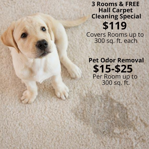 Carpet Cleaning Service «Indy Carpet Cleaning», reviews and photos, 5541 Guilford Ave, Indianapolis, IN 46220, USA