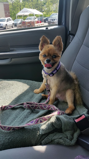 Pet Supply Store «Petco Animal Supplies», reviews and photos, 200 Edwards Blvd b, Lake Geneva, WI 53147, USA