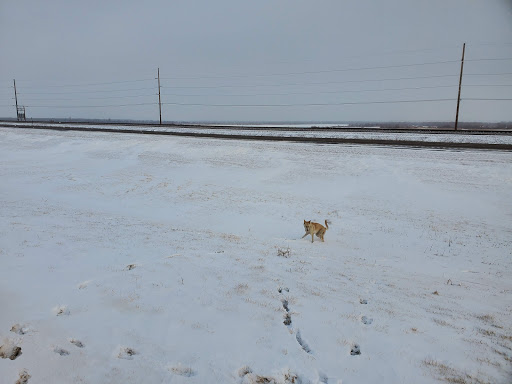 Casino «Grand Treasure Casino», reviews and photos, 4418 147th Ave NW, Williston, ND 58801, USA