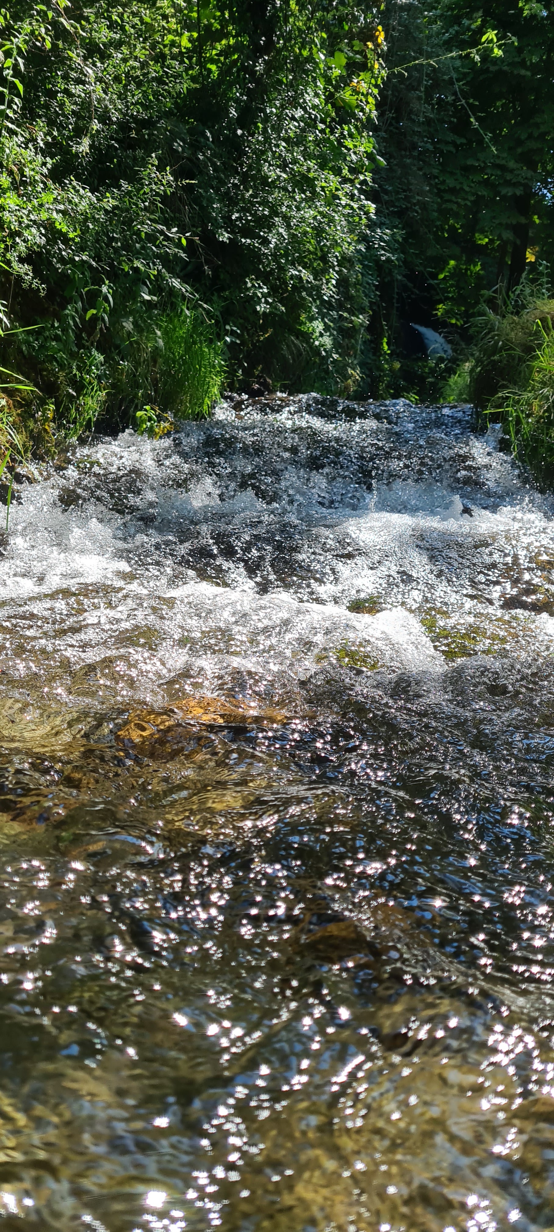 Photo n° 9 de l'avis de niels.u fait le 21/07/2020 à 14:22