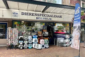 Dierenspeciaalzaak Moerwijk image