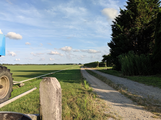 Winery «Roanoke Vineyards», reviews and photos, 3543 Sound Ave, Riverhead, NY 11901, USA