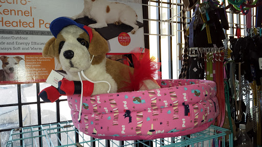 Stores to buy dogs Maracaibo