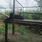 Photo n° 1 de l'avis de Mickael.r fait le 08/05/2023 à 18:23 pour Domaine des Fauves à Les Abrets en Dauphiné