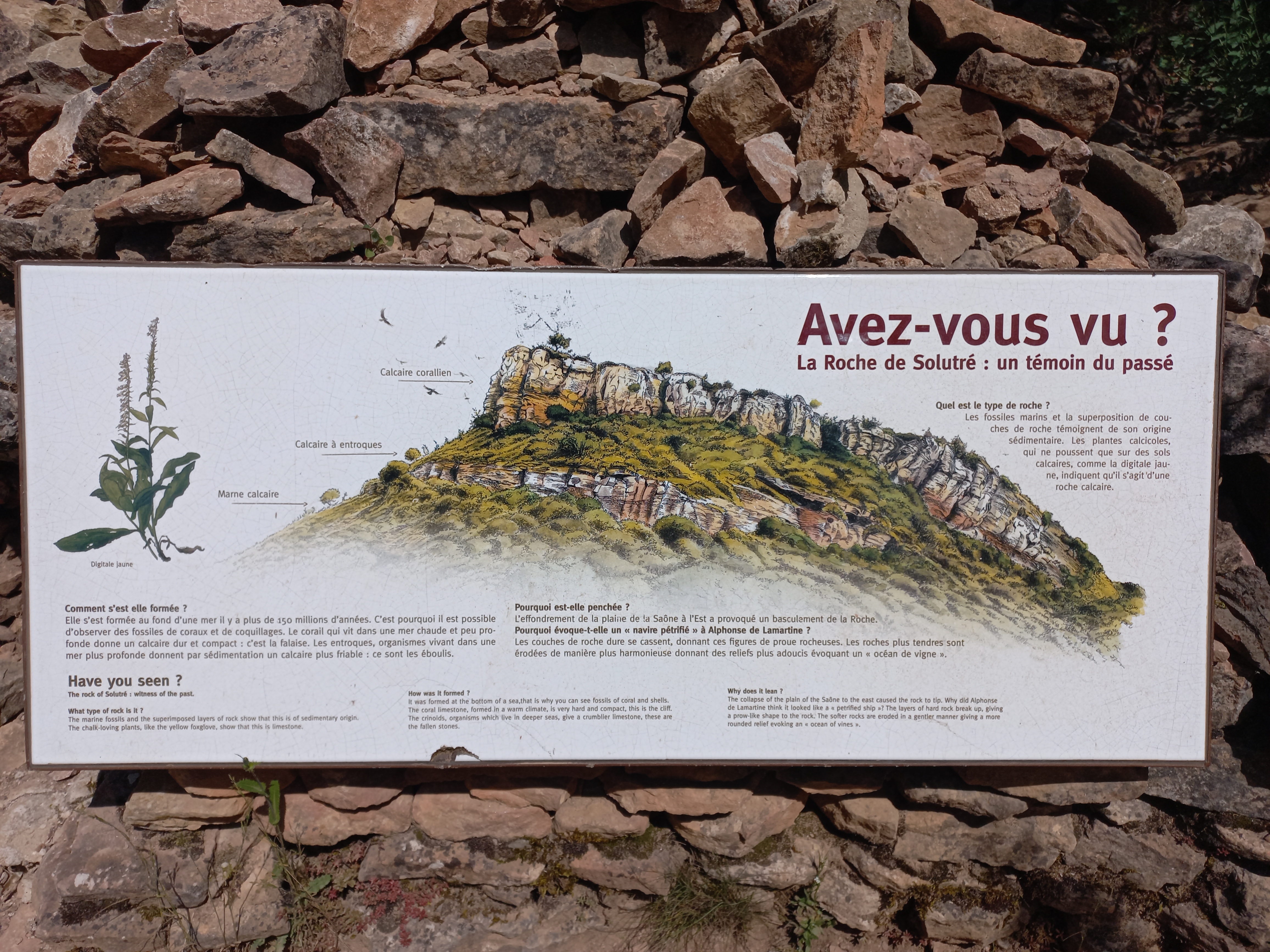 Photo n° 4 de l'avis de Bruno.T fait le 29/05/2023 à 13:09