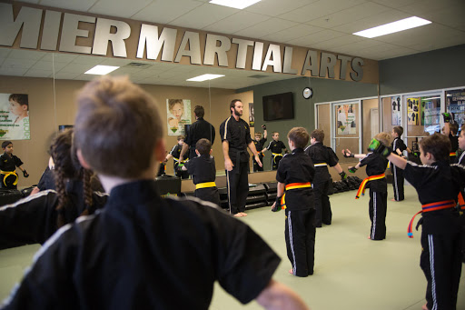 Premier Martial Arts (9660 Audelia Rd, Dallas)