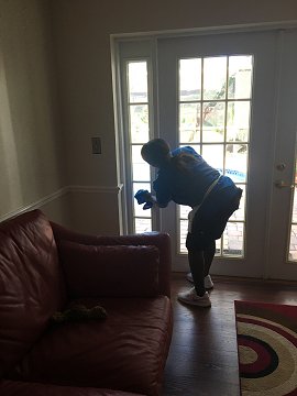 House Cleaning Service «The Royal Maid Service», reviews and photos, 34921 US Hwy 19 N #300, Palm Harbor, FL 34684, USA