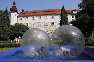 Dětská odborná léčebna Charlotty G. Masarykové, Pobočný spolek ČČK image