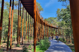 Fietsen door de Bomen