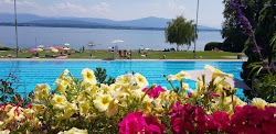 Piscine de Colovray'in fotoğrafı çok temiz temizlik seviyesi ile