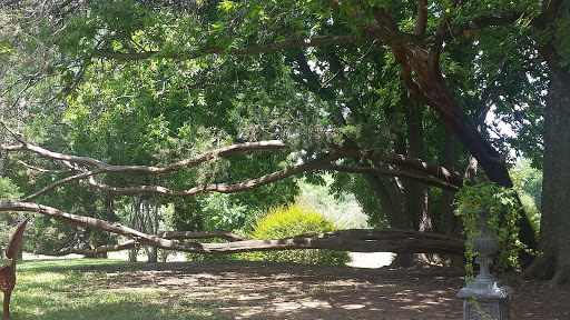 Coffee Shop «Kingsland Coffee Company», reviews and photos, 1001 King Ct, Kingsland, TX 78639, USA