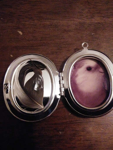 Craft Store «Hobby Lobby», reviews and photos, 505 N Foothills Plaza Dr, Maryville, TN 37801, USA