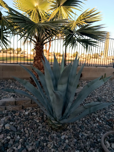 Golf Club «Golf Club at Johnson Ranch», reviews and photos, 30761 W Golf Club Dr, San Tan Valley, AZ 85143, USA