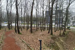 Sakarya Üniversitesi Esentepe Kampüs Ormanı image
