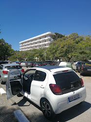 Local Cars- Car Rental In Algarve