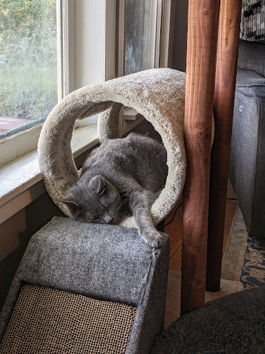 Pet Supply Store «Petco Animal Supplies», reviews and photos, 436 E Rollins Rd, Round Lake Beach, IL 60073, USA