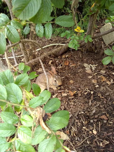 Amusement Park «Adventureland Family Fun Park», reviews and photos, 112 Point Judith Rd, Narragansett, RI 02882, USA