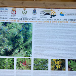 Photo n°4 de l'avis de Giuseppe.o fait le 01/08/2023 à 20:37 sur le  Miramare B&B Ristorante à San Pietro In Bevagna