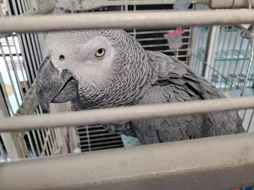 Skate Shop «Westside Skateshop», reviews and photos, 39332 US-19, Tarpon Springs, FL 34689, USA