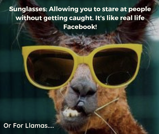 Optician «Asterix Eyewear», reviews and photos, 4936 SE Foster Rd, Portland, OR 97206, USA