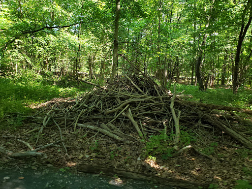 Nature Preserve «Lorrimer Sanctuary», reviews and photos, 790 Ewing Ave, Franklin Lakes, NJ 07417, USA