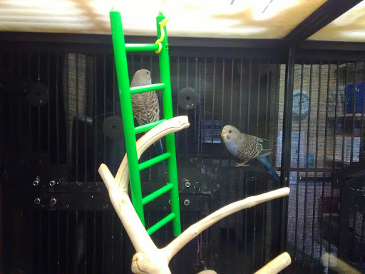 Pet Supply Store «PetSmart», reviews and photos, 1391 S Commons Dr, Myrtle Beach, SC 29588, USA