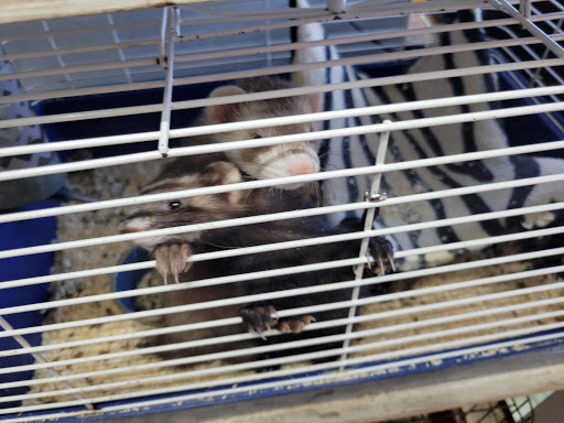 Tropical Fish Store «Emmons Tropical Fish & Ponds», reviews and photos, 1612 Hopmeadow St, Simsbury, CT 06070, USA