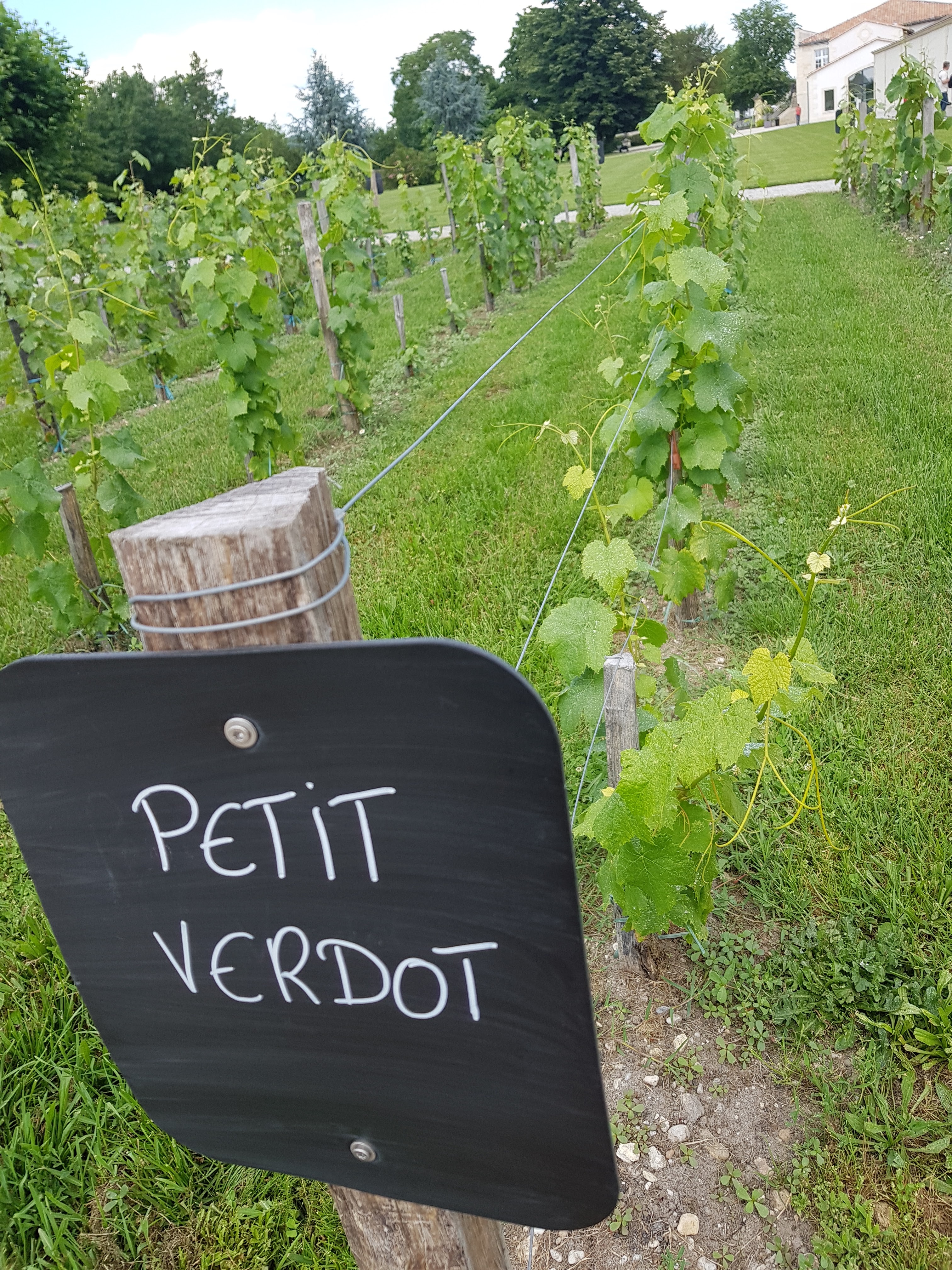 Photo n° 8 de l'avis de Richard.l fait le 22/06/2018 à 04:13
