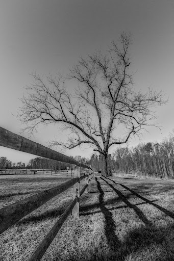 Tourist Attraction «Gaines Mill Battlefield», reviews and photos, 6283 Watt House Rd, Mechanicsville, VA 23111, USA