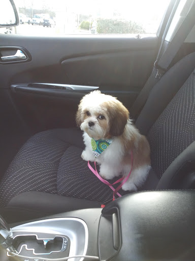 Pet Supply Store «Pet Supplies Plus», reviews and photos, 5394 Kemps River Dr Suite 101, Virginia Beach, VA 23464, USA