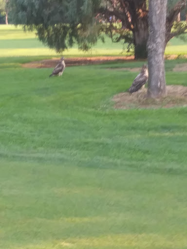 Public Golf Course «Wellshire Golf Course», reviews and photos, 3333 S Colorado Blvd, Denver, CO 80222, USA