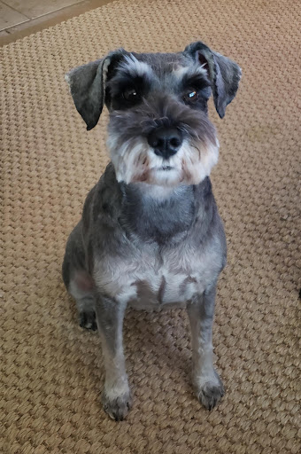 Kennel «Sandy Oaks Kennel, Daycare and Spaw», reviews and photos, 146 Lamar Dr, Rockport, TX 78382, USA