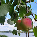 Photo n°3 de l'avis de Henriette.o fait le 29/08/2020 à 18:42 sur le  Eiscafé Bad Saarow à Bad Saarow