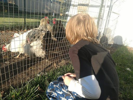 Pumpkin Patch «Barts Farm and Pumpkin Patch», reviews and photos, 7307 Alburnett Rd, Marion, IA 52302, USA