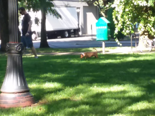 Park «North Park Blocks», reviews and photos, 235 NW Park Ave, Portland, OR 97209, USA