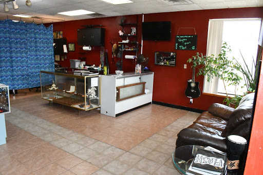 Explore tattoo ideas dolphin, creative tattoo ideas in Overland Park, available at Skin Illustrations
