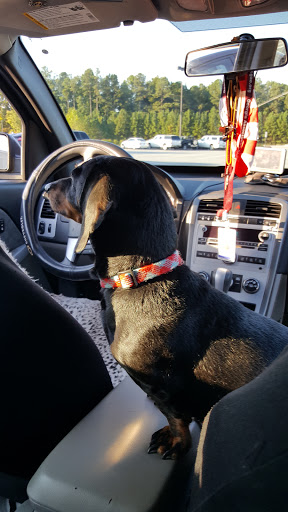 Supermarket «Publix Super Market at Seven Hills Station», reviews and photos, 80 Seven Hills Blvd, Dallas, GA 30132, USA