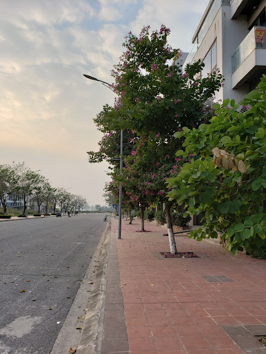 Top 16 cửa hàng vans tphcm Huyện Yên Phong Bắc Ninh 2022