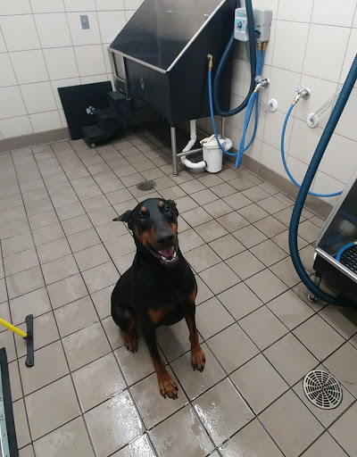 Pet Supply Store «Pet Supplies Plus», reviews and photos, 3205 W 115th St, Merrionette Park, IL 60803, USA