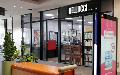Bellucci Hair image