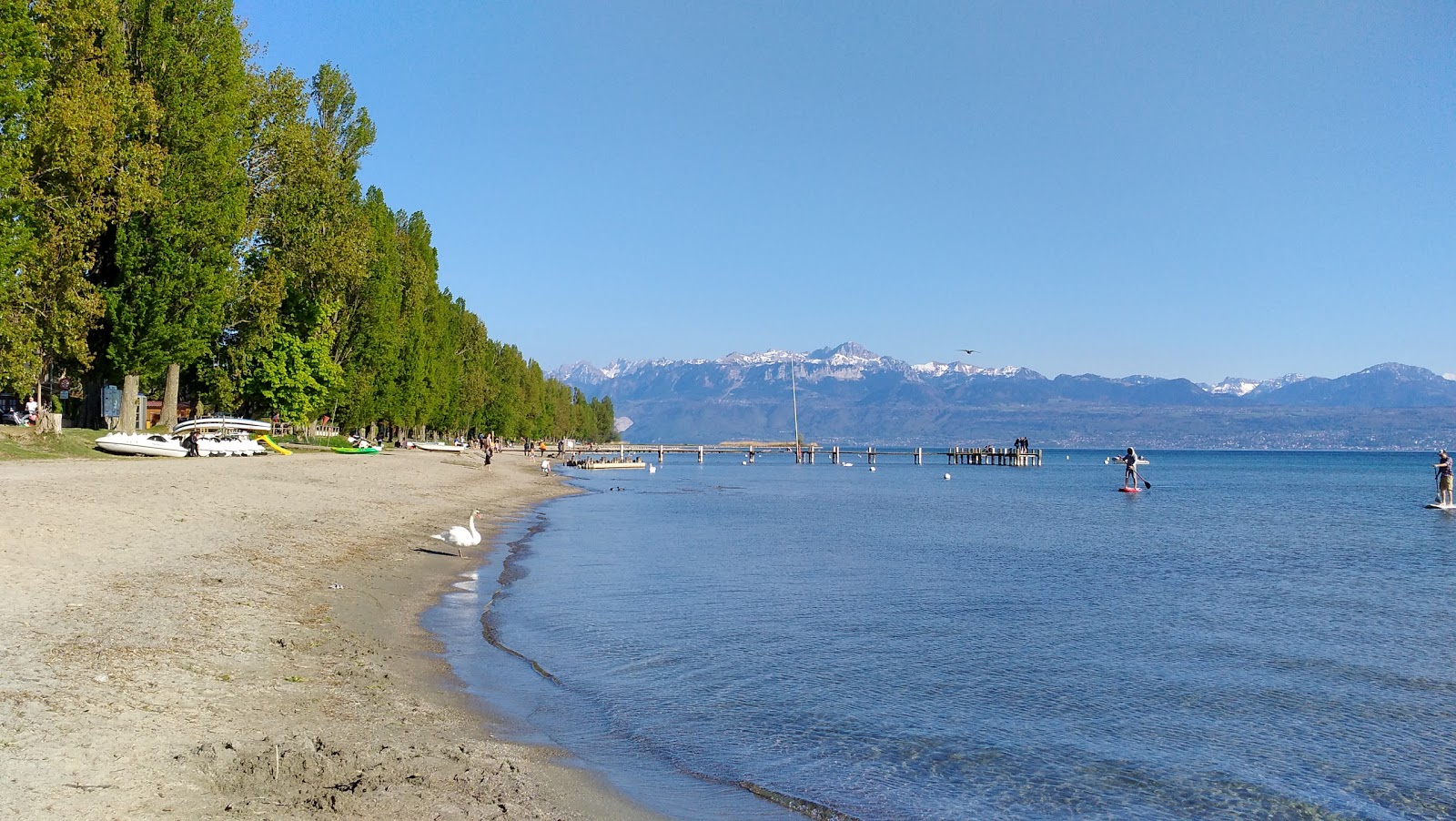 Foto di Plage de Preverenges con una superficie del sabbia beige